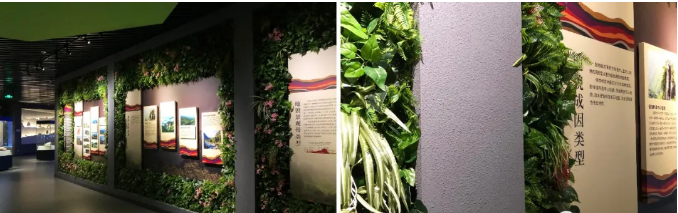 解析武功山地質(zhì)博物館設(shè)計(jì)元素 解析武功山地質(zhì)博物館設(shè)計(jì)元素